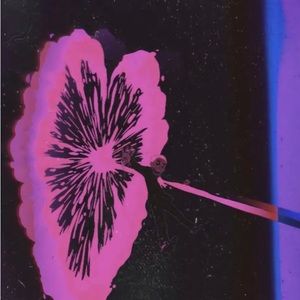 Meet your Posher, Ashanty